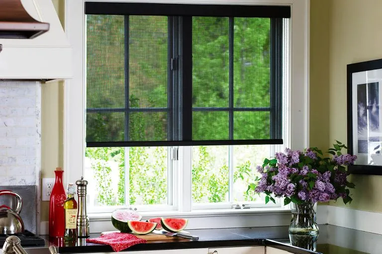 Dark sheer roller shade over a kitchen window with fresh watermelon