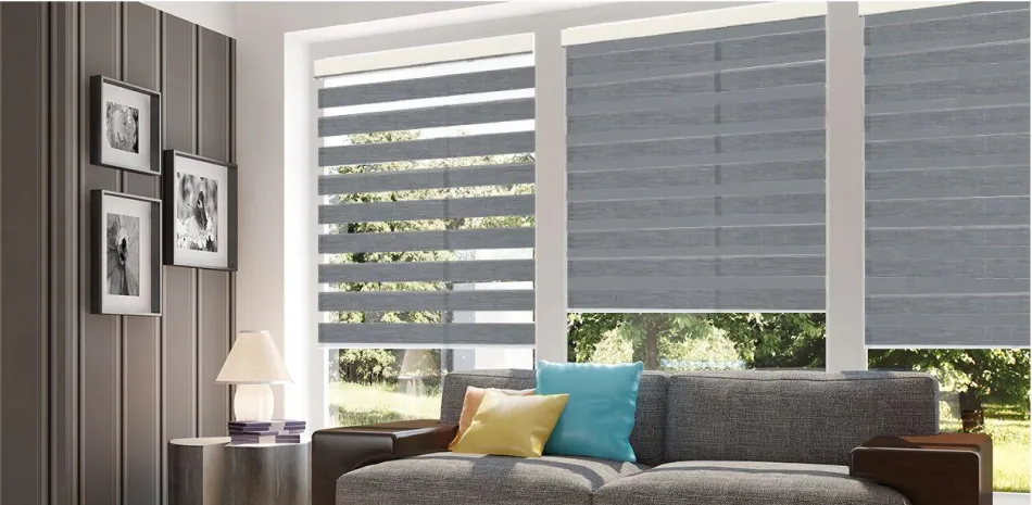 Dual-layer zebra shades alternating sheer and privacy in a Cedar Park living room