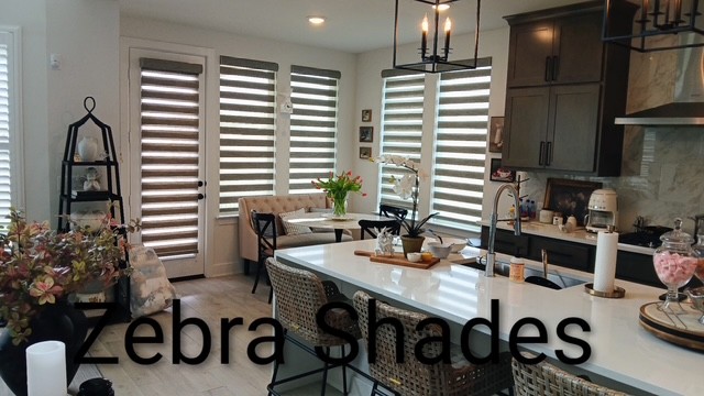Zebra shades installation in Round Rock, TX